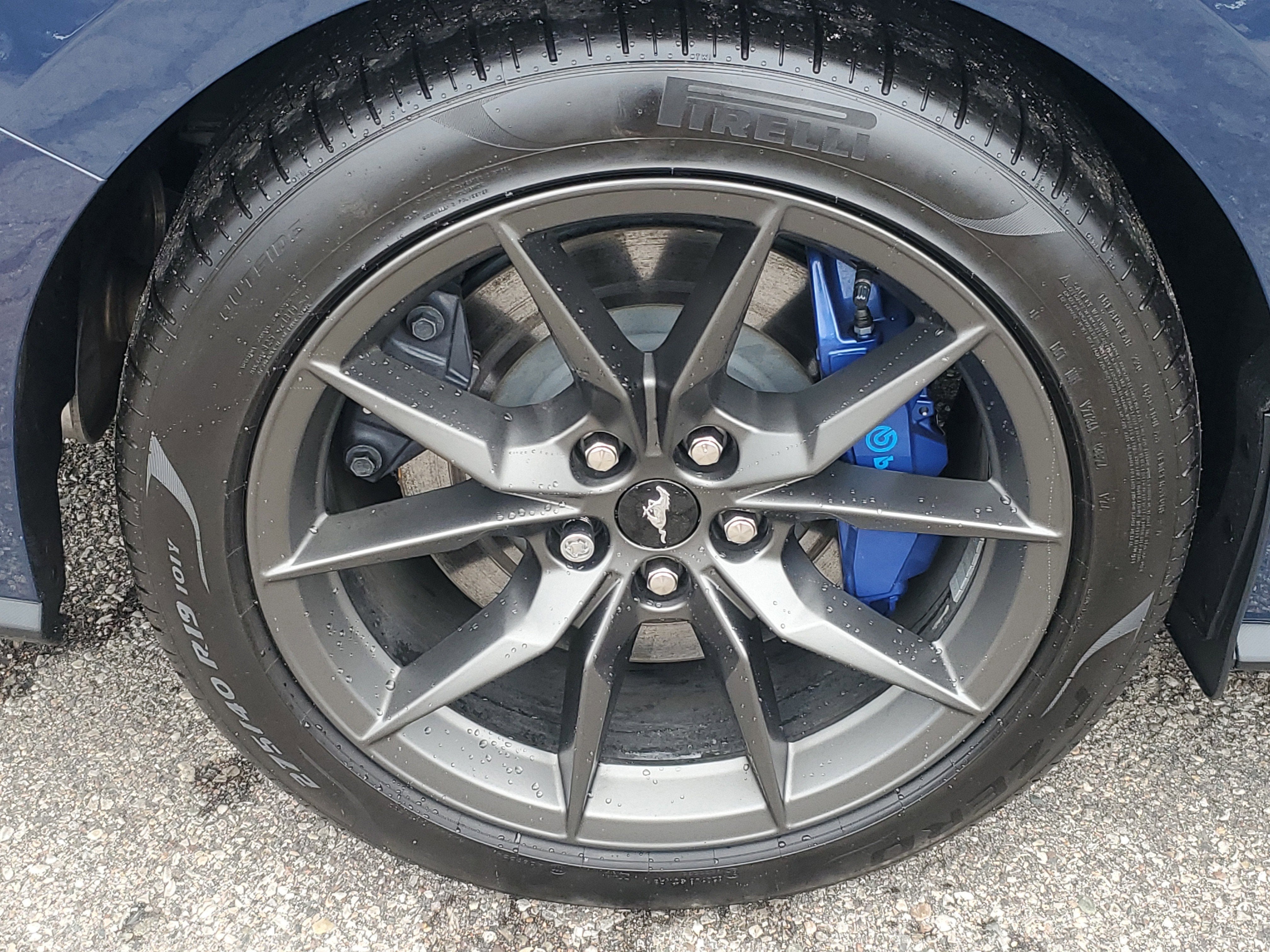 2024 Ford Mustang Dark Horse