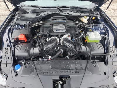 2024 Ford Mustang Dark Horse