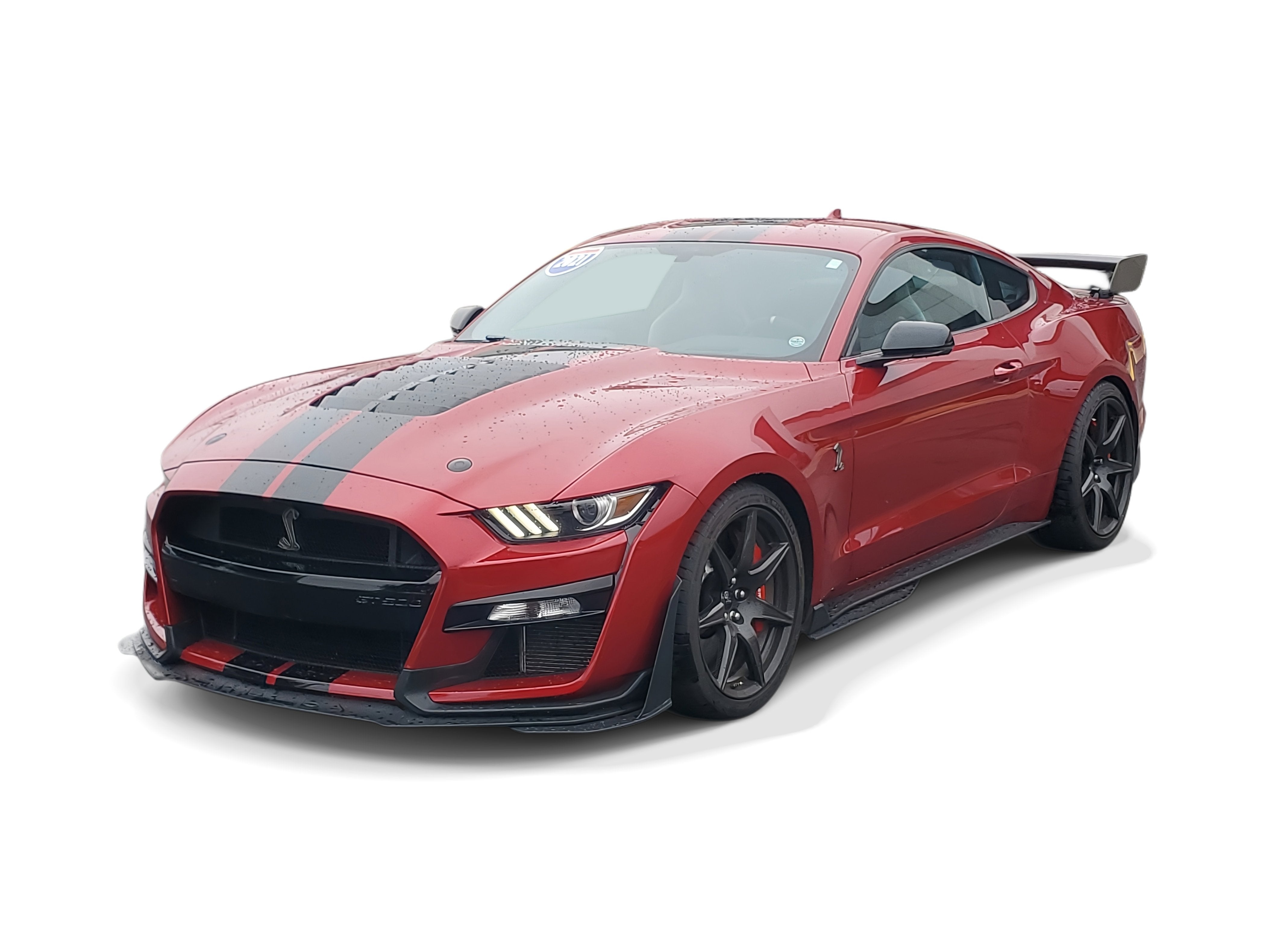 FORD MUSTANG SCHELBY GT500 FAST BACK RED 1/12 OTTO GO56 FORD MUSTANG SCHELBY GT500 FAST BACK RED 1/12 OTTO GO56